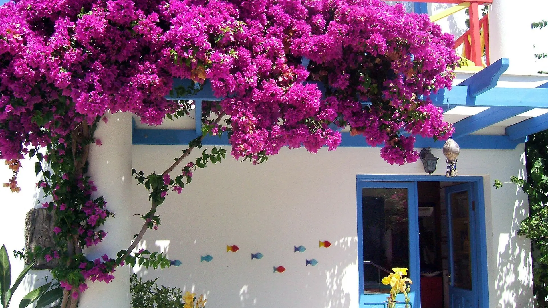 Su Otel Turgutreis 3*,  Turkije